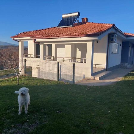 Villa With Mountain View غيفيغليا المظهر الخارجي الصورة